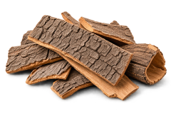 8.Eucommiaschors