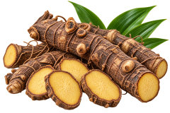 9.Curculigowortelstok