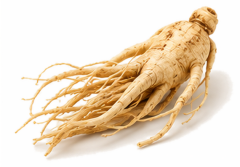 Ingred Hers ginsengwortel